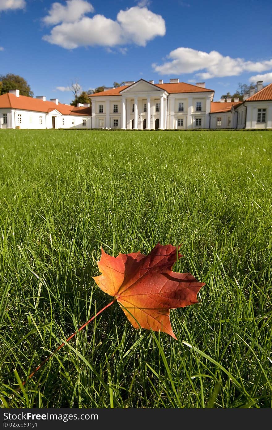 Autumn leaf on the grass in front of the palace