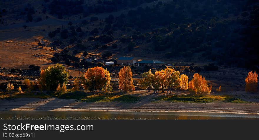 Autumn's tree beatiful mountains america