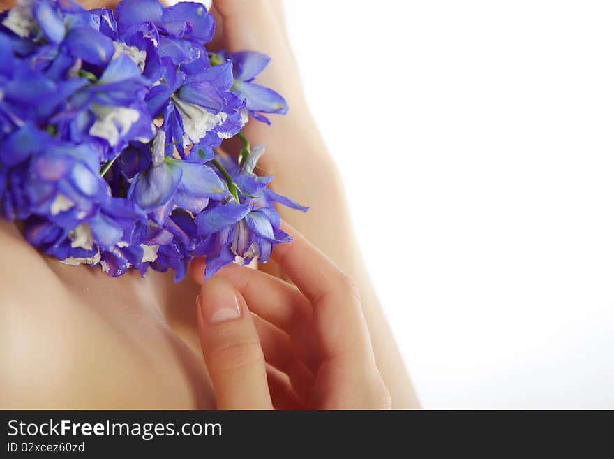 Small blue flowers touched by female hand in studio shot isolated on white