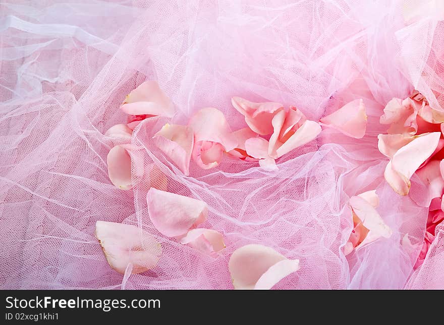 Rose petals lying on transparent fabric background