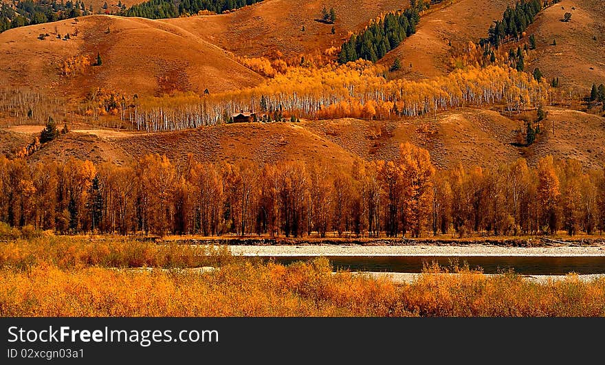 Grand Teton National Parks