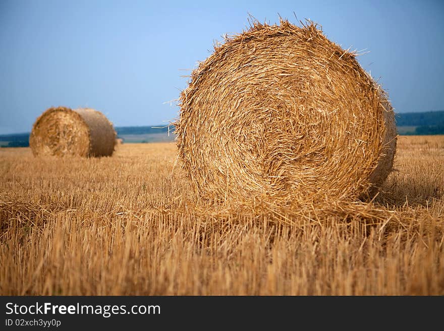 Stacks of straw on the farmland in autumn. Stacks of straw on the farmland in autumn