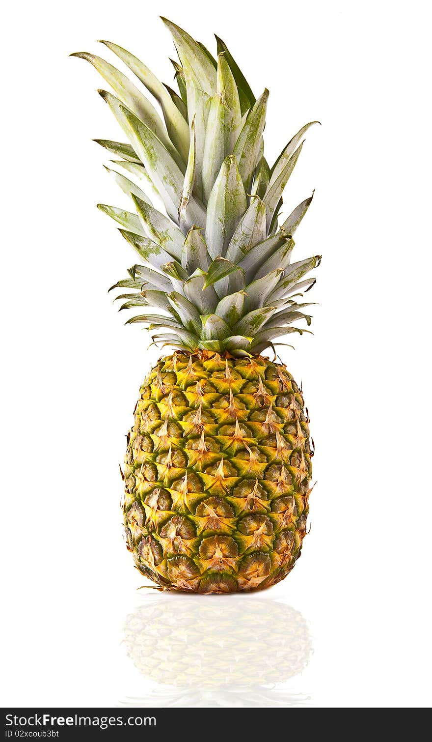 Whole pineapple on a white background