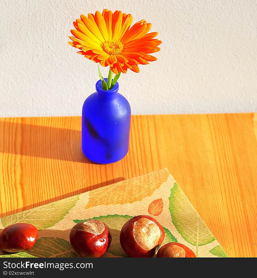 Blooming flower on the table