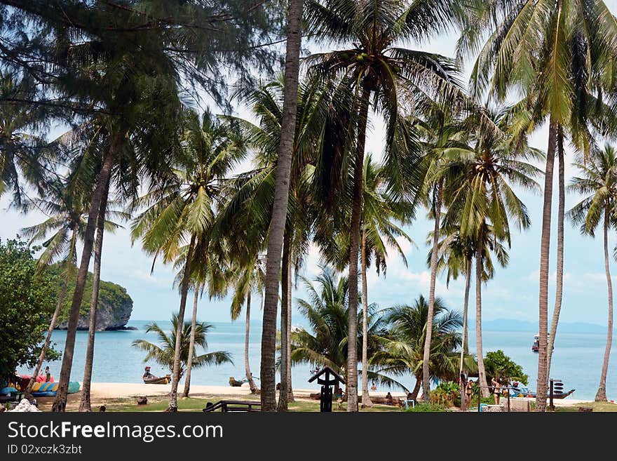 Tropical island view , image was taken in the 42 island area in Thailand. Tropical island view , image was taken in the 42 island area in Thailand