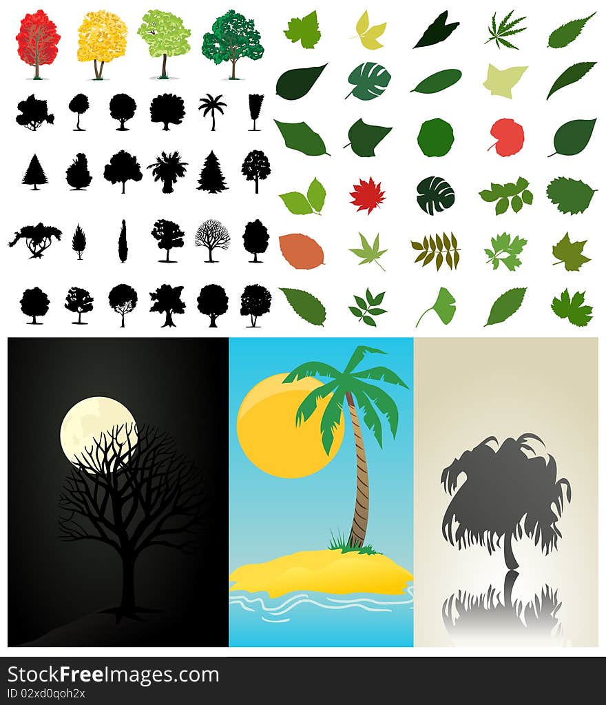 Collection of trees and leaves. A illustration. Collection of trees and leaves. A illustration