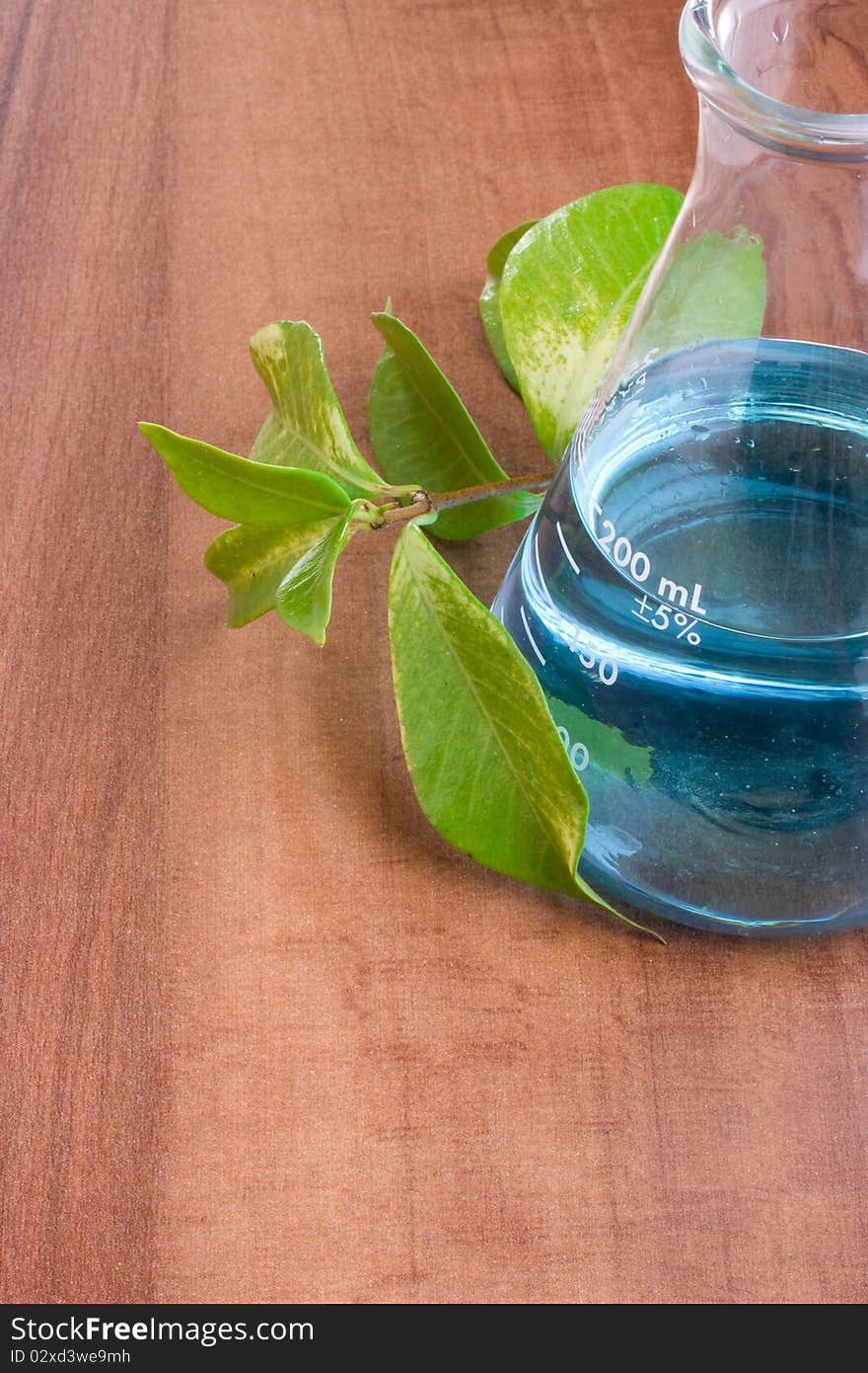 Green leaves next to an erlenmeyer flask with a blue liquid in it. Green leaves next to an erlenmeyer flask with a blue liquid in it.