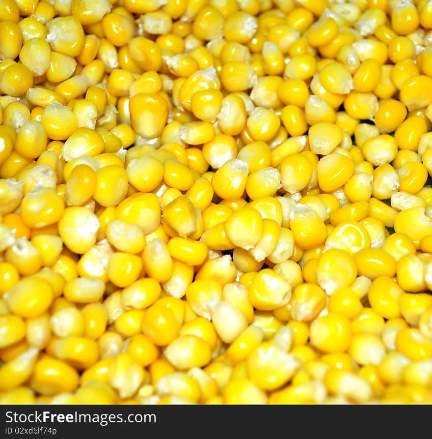 The image of freshly baked corns in an oven.