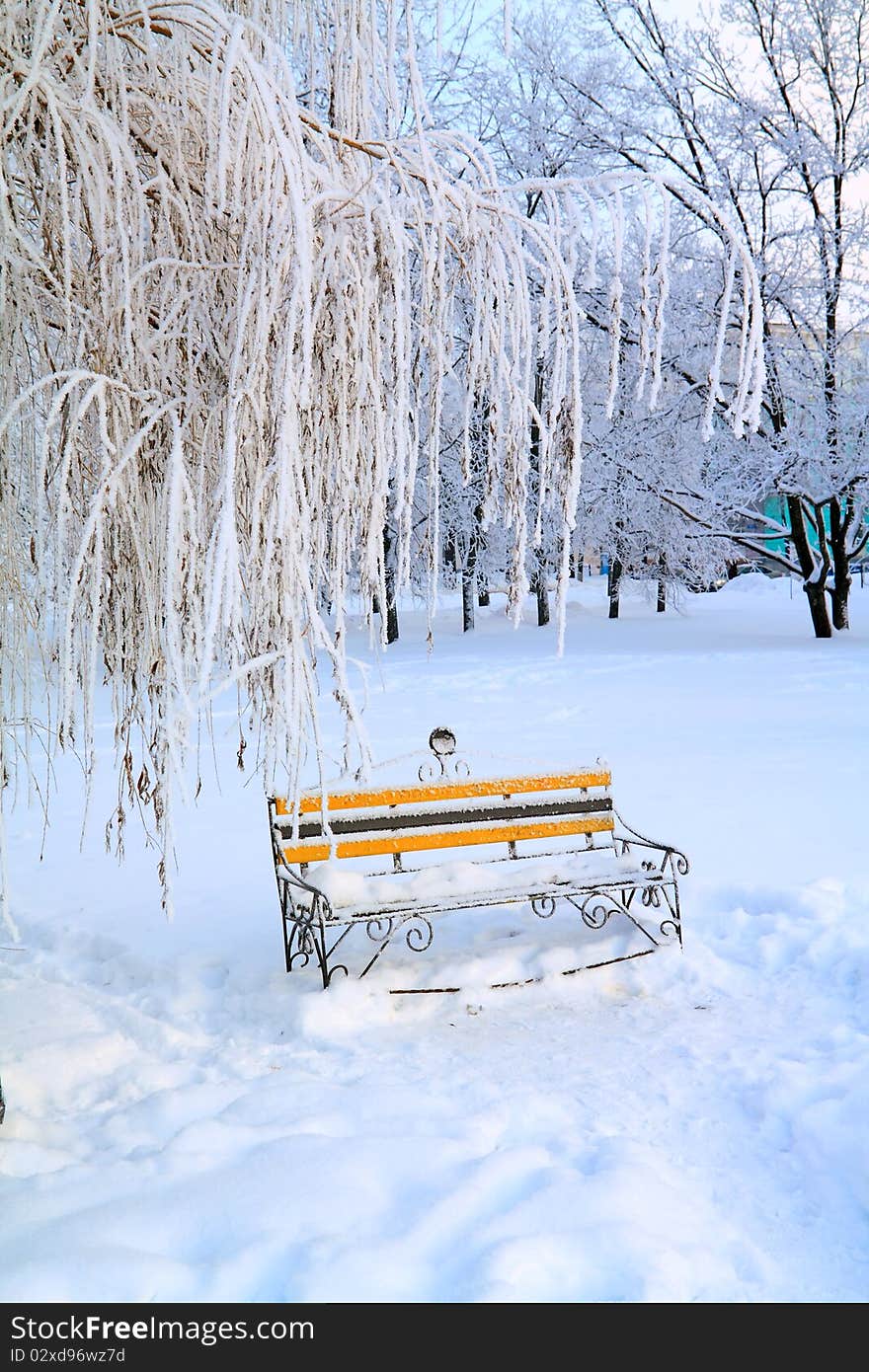 Aging bench in winter park