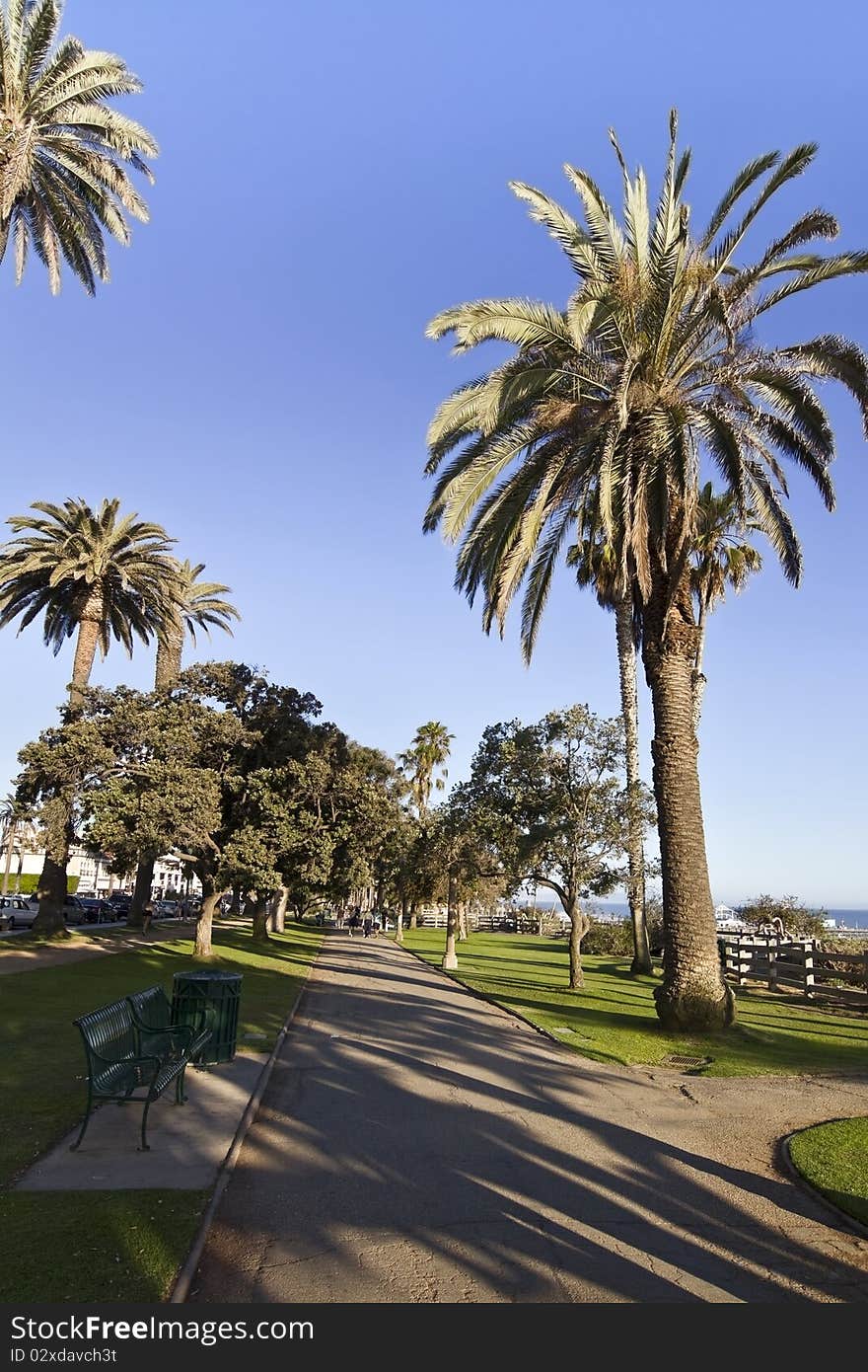 Park beside the pacific in malibu california. Park beside the pacific in malibu california