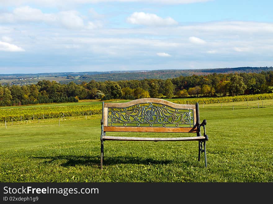 Park bench in the rolling hills, overlooking a vineyard; in horizontal orientation