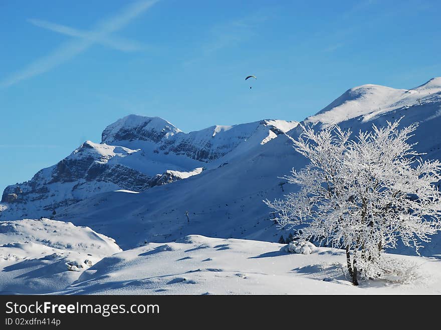 Here is a landscape in the pyrenees, in France, especially in El Formigal. Thee is a tree and in the background mountains and someone who practice the ski parachute. Here is a landscape in the pyrenees, in France, especially in El Formigal. Thee is a tree and in the background mountains and someone who practice the ski parachute.