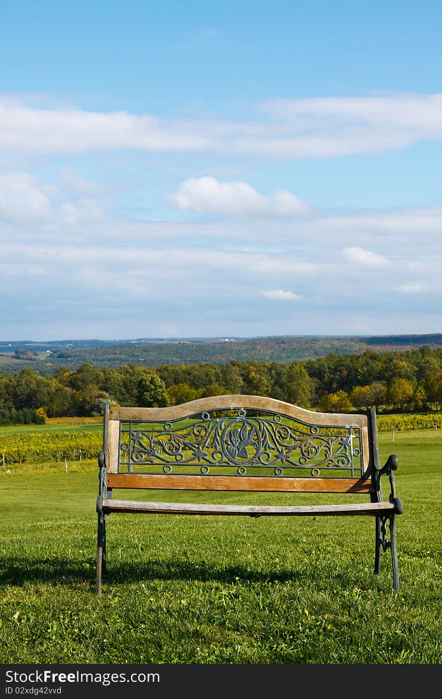 Park bench in the rolling hills, overlooking a vineyard; in vertical orientation