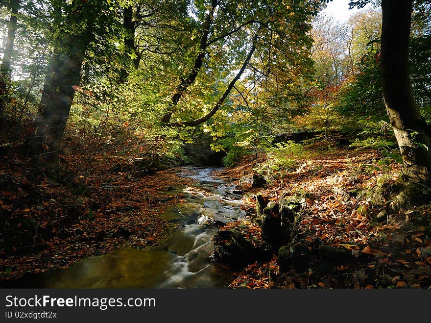 Sunlight Reflecting in the Fall Stream. Sunlight Reflecting in the Fall Stream