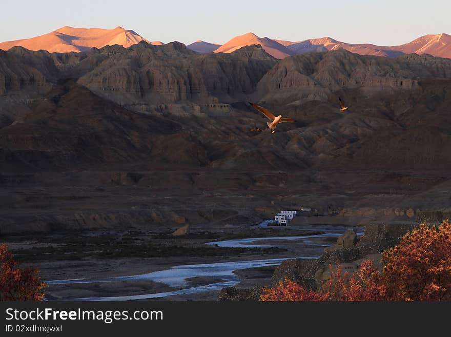 Clay forest at sunset, Zanda,Tibet,China