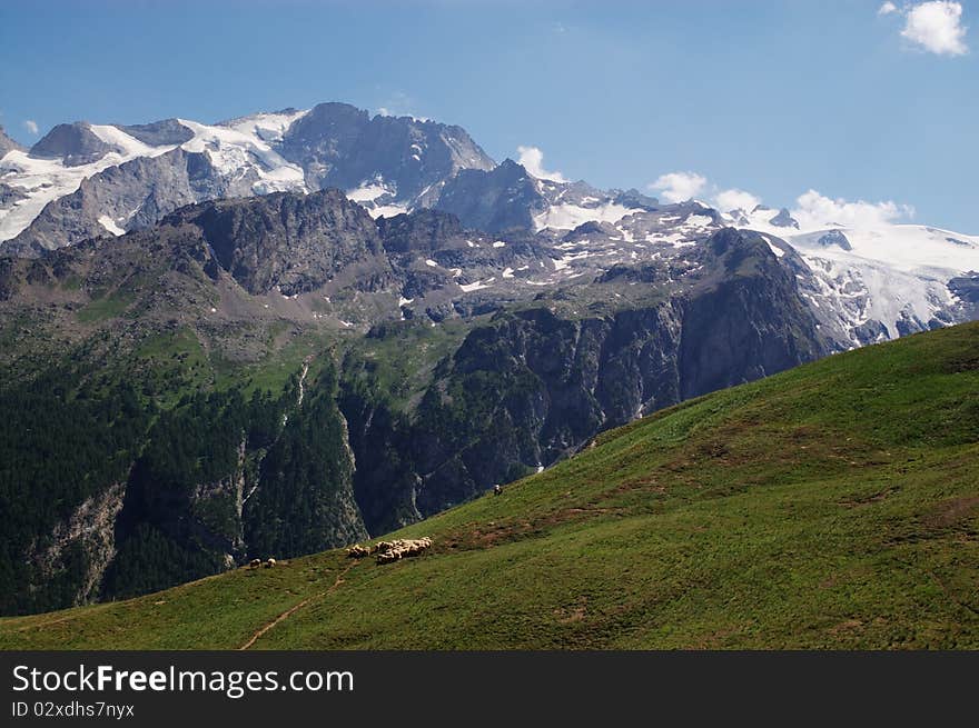 Mountain pasture, Alps