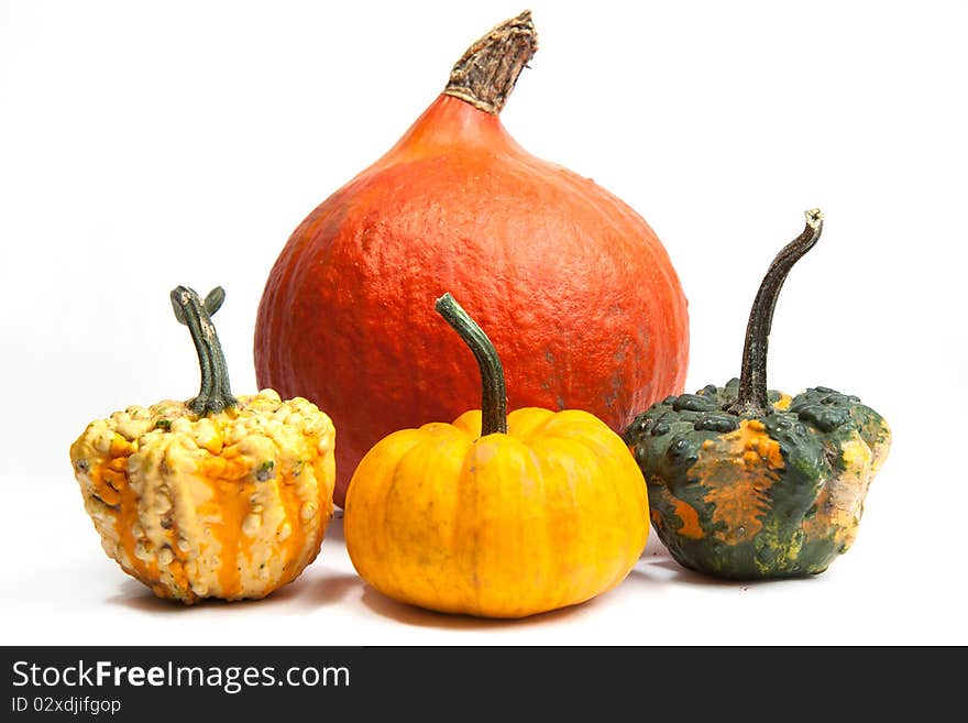 Isolated orange pumpkins on a white background. Isolated orange pumpkins on a white background