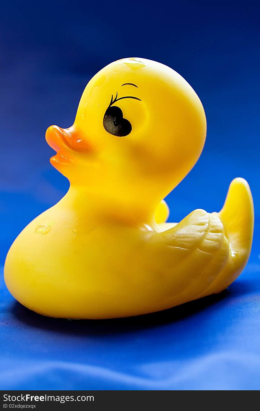 Rubber Duck