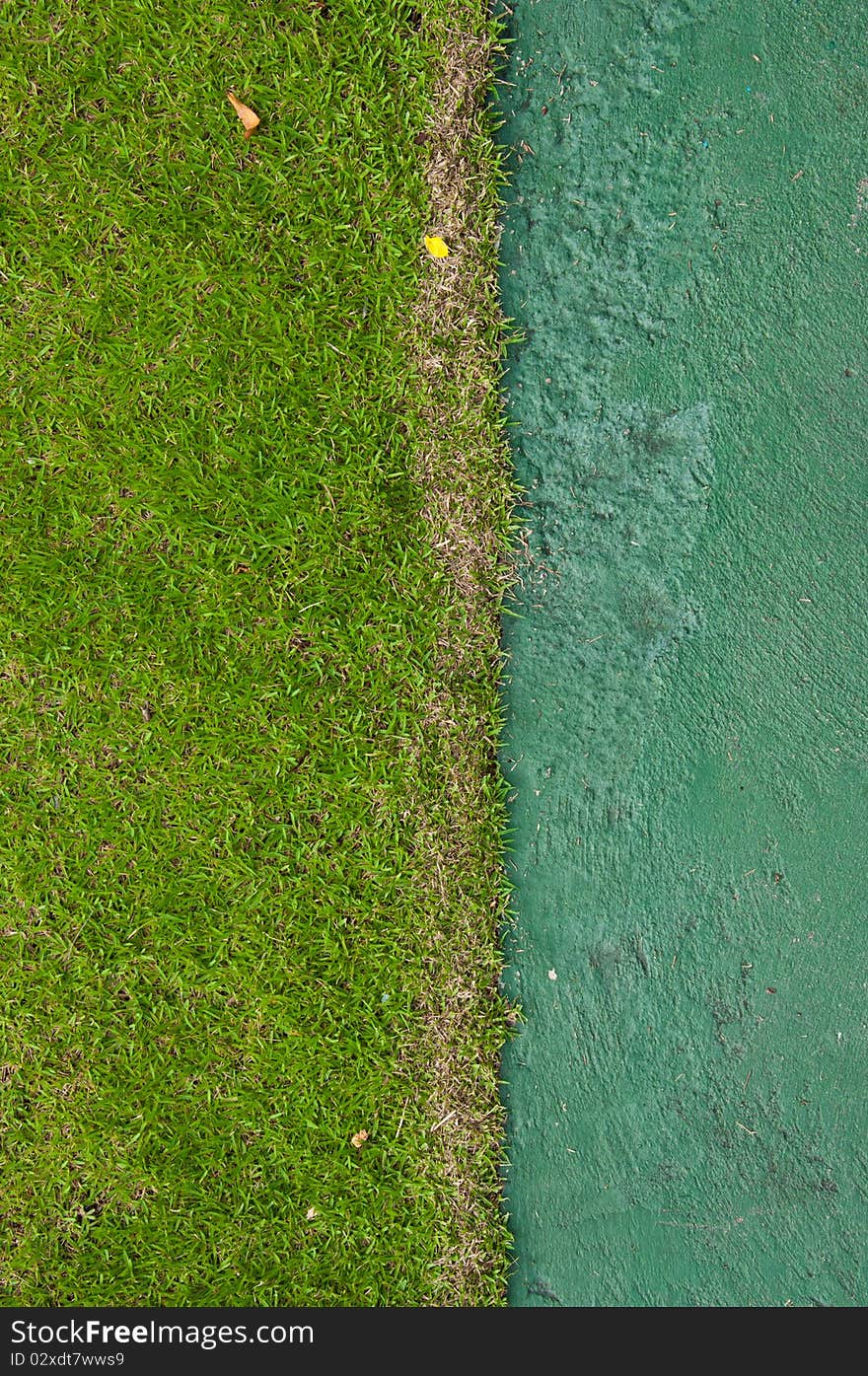 Close-up image of green grass