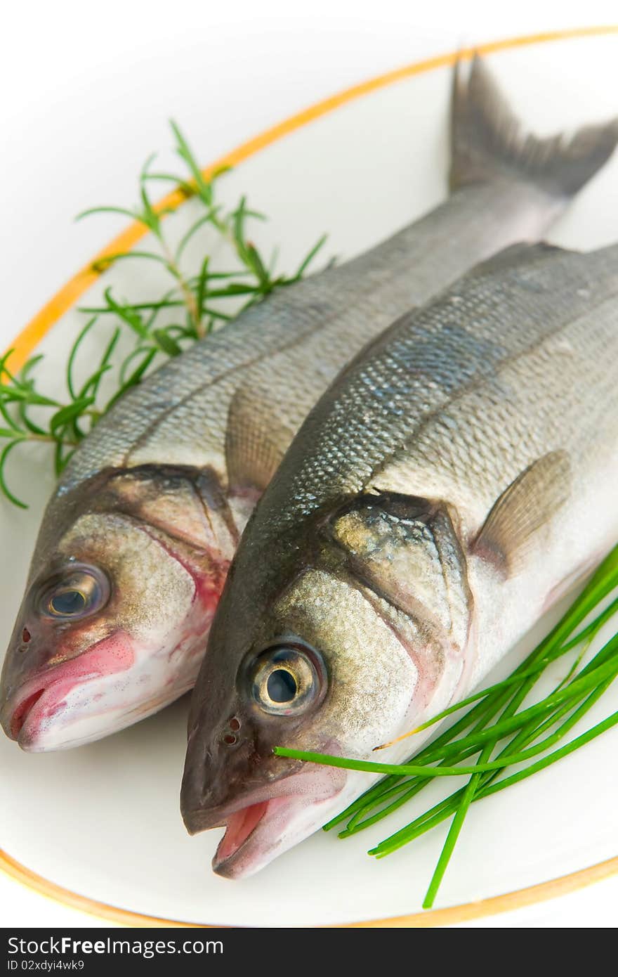 Sea bass with herbs isolated on white