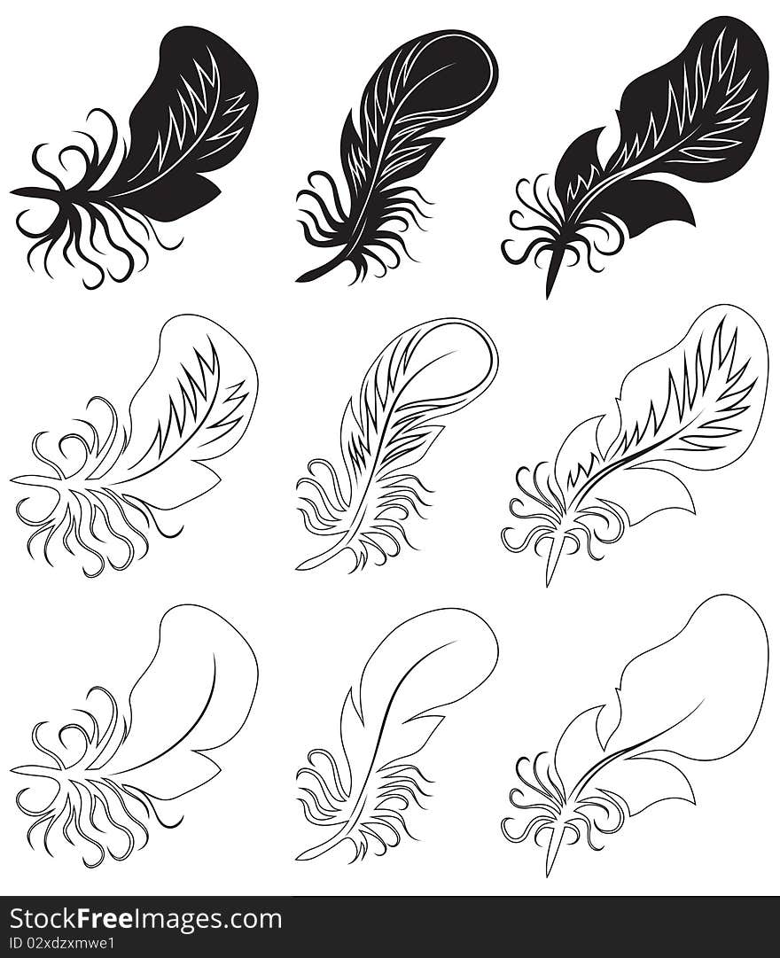 Fluff and feathers. Black and white illustration. Vector illusreation.