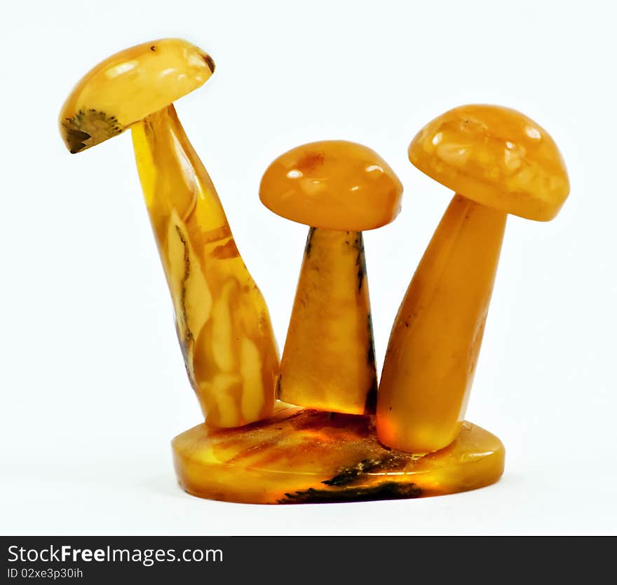 Mushrooms of Baltic amber