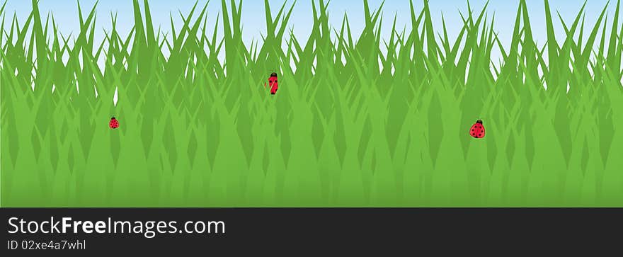 Three ladybugs relaxing on blades of grass; contains clipping path. Three ladybugs relaxing on blades of grass; contains clipping path.