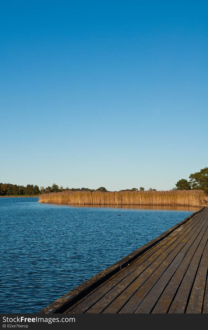 Wooden pier and common reed at the baltic sea