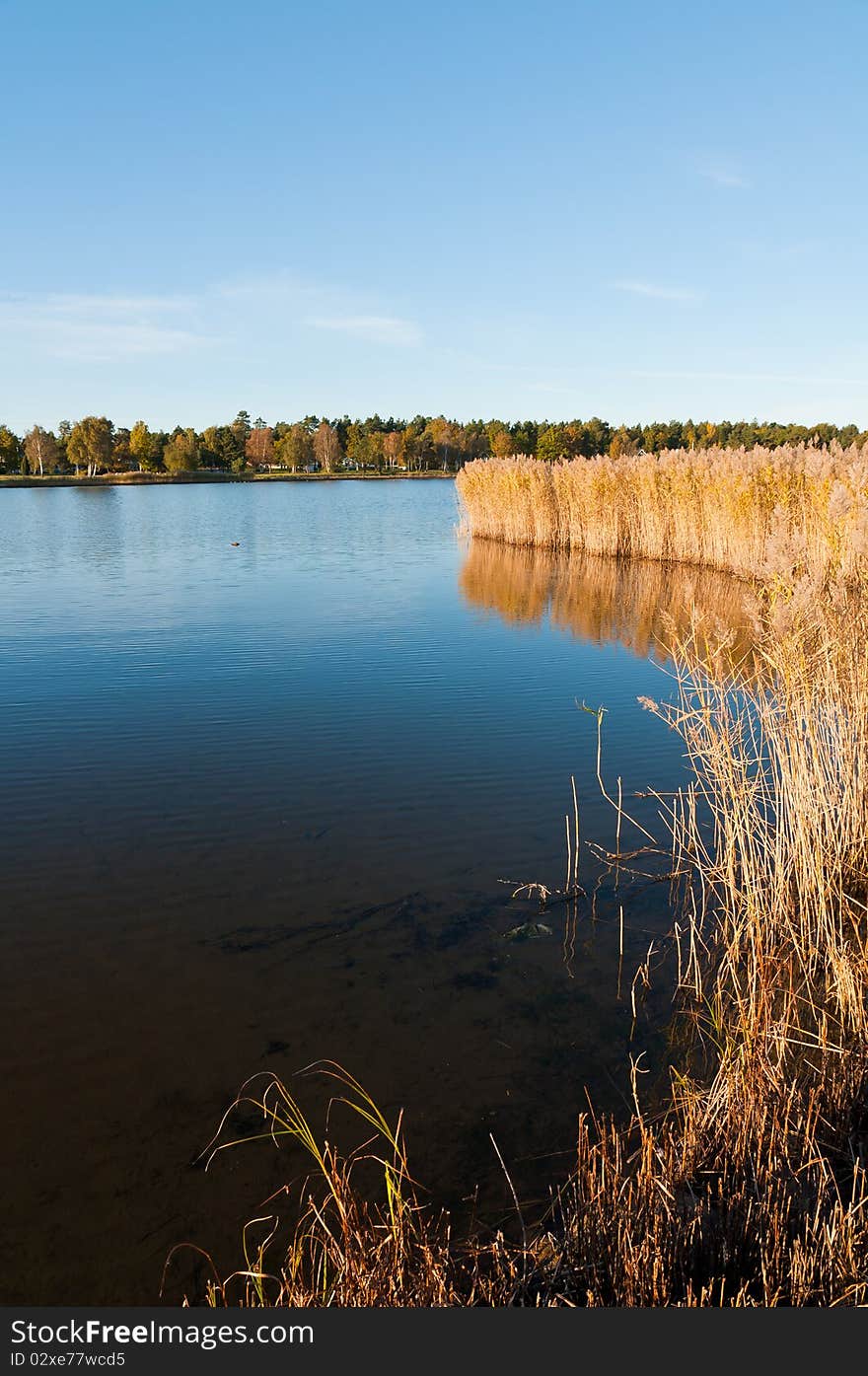 Landscape at the Swedish coast of the baltic sea