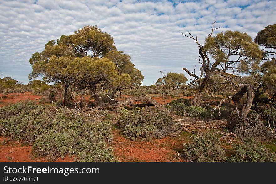 The australian landscape, south australia