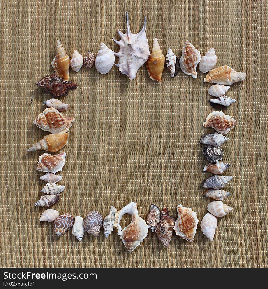 Different shells lie on the beach, on beach mat.