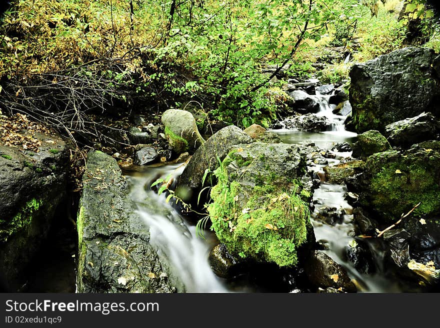 A slow moving creek in the rocky mountains