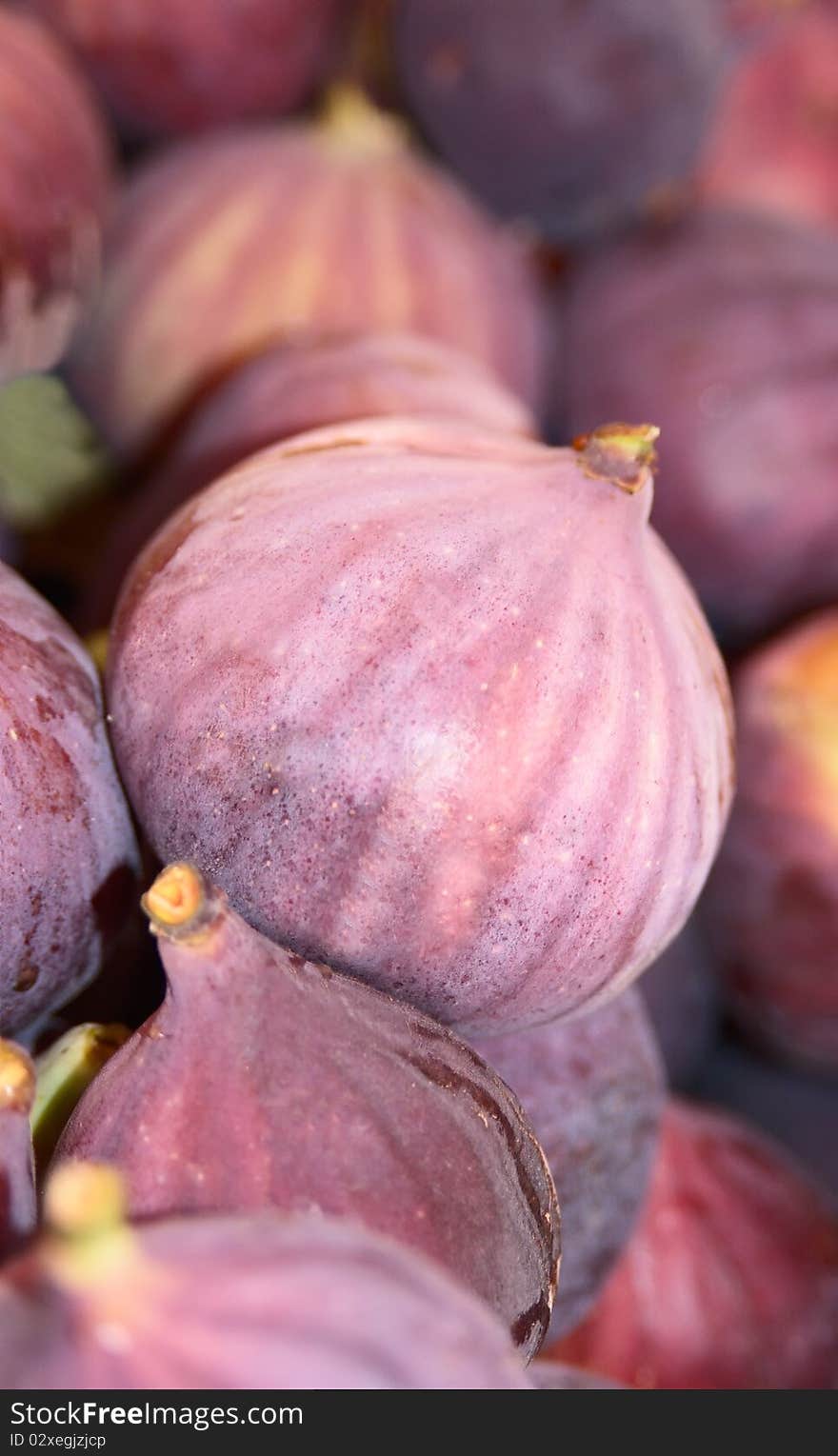 Ripe fig close up on a counter