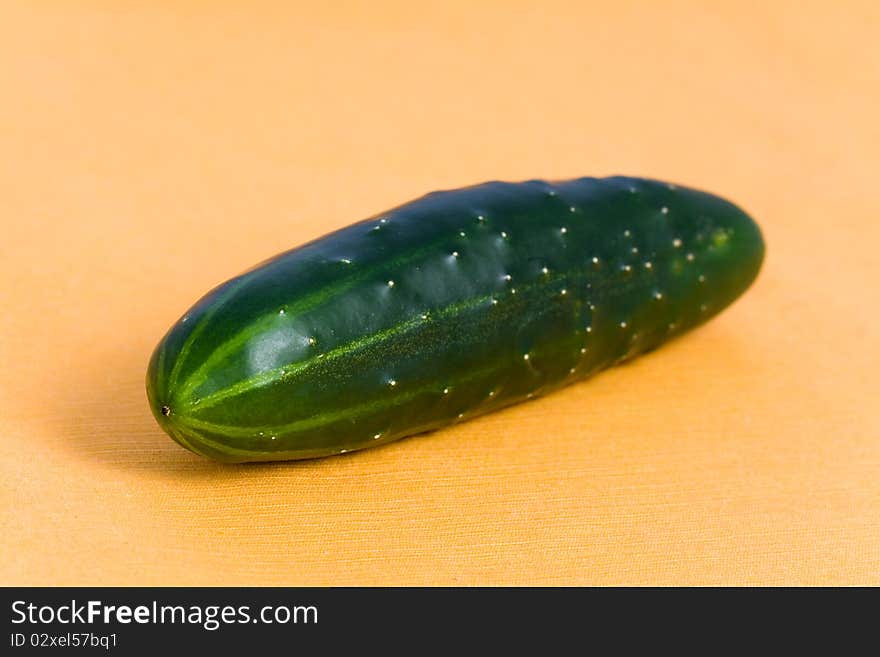 Ripe Cucumber on the orange Background.