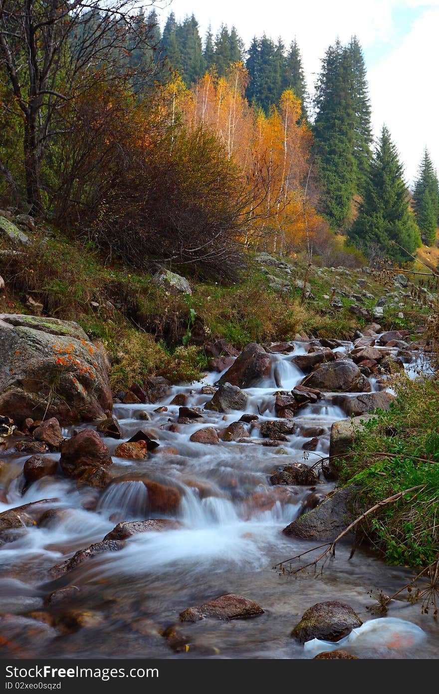 Beautiful landscape with the mountain river