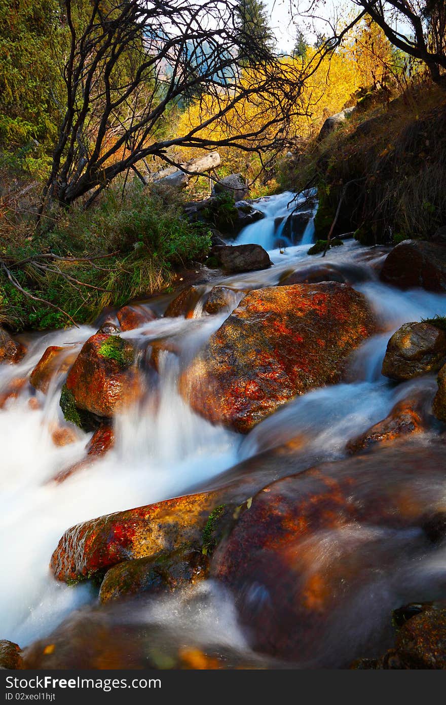 Beautiful landscape with the mountain river