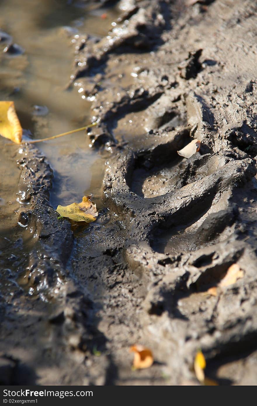 Tread tracks in muddy rural road. Tread tracks in muddy rural road