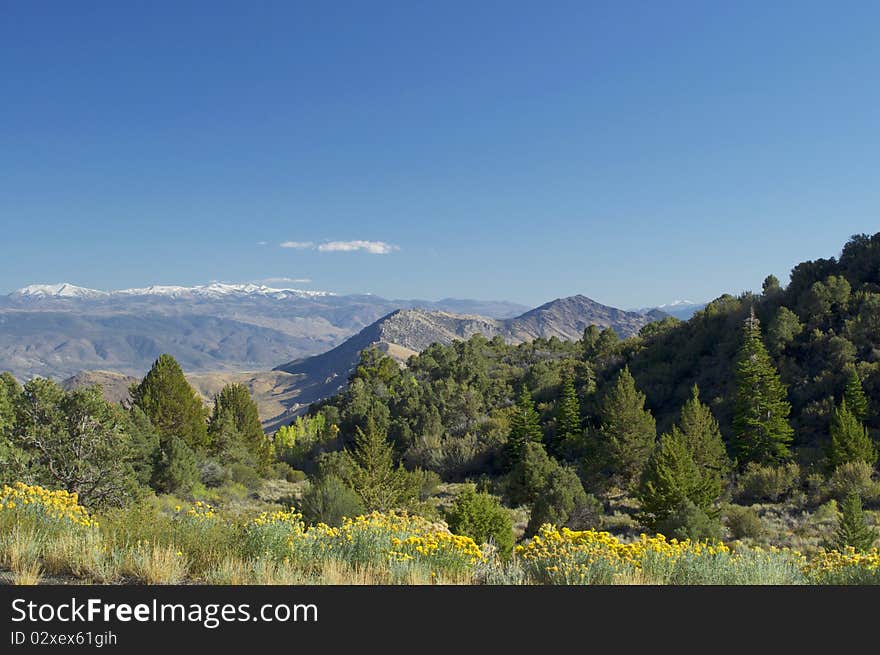 Looking Towards Sweetwater Range