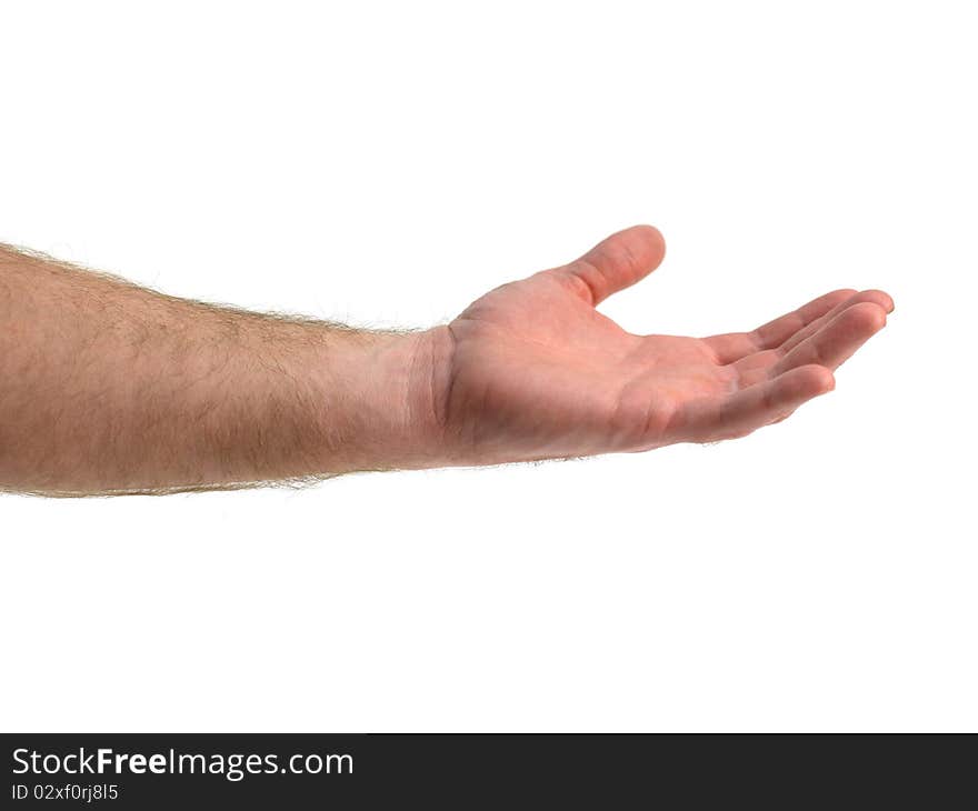 A hand isolated against a white background