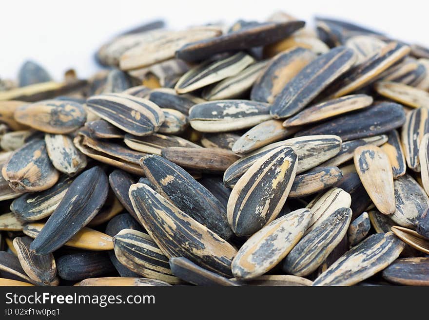 Sunflower Seeds