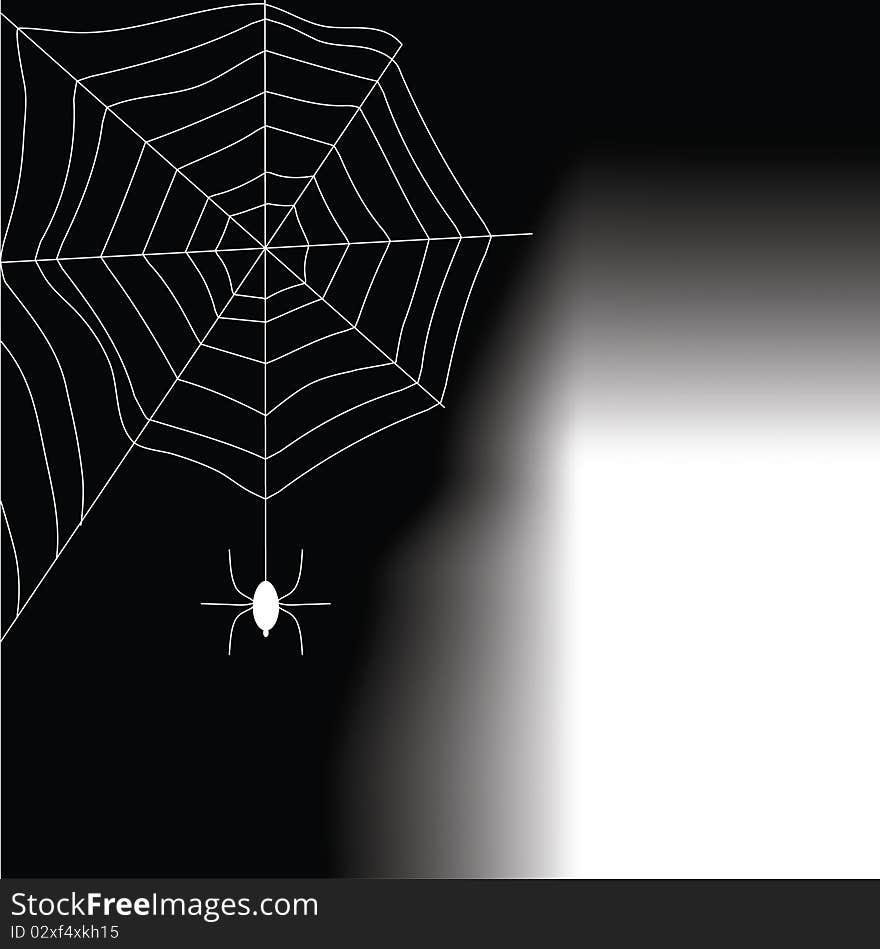 The spider goes down on a web in a dark premise and bright light makes the way from an open door