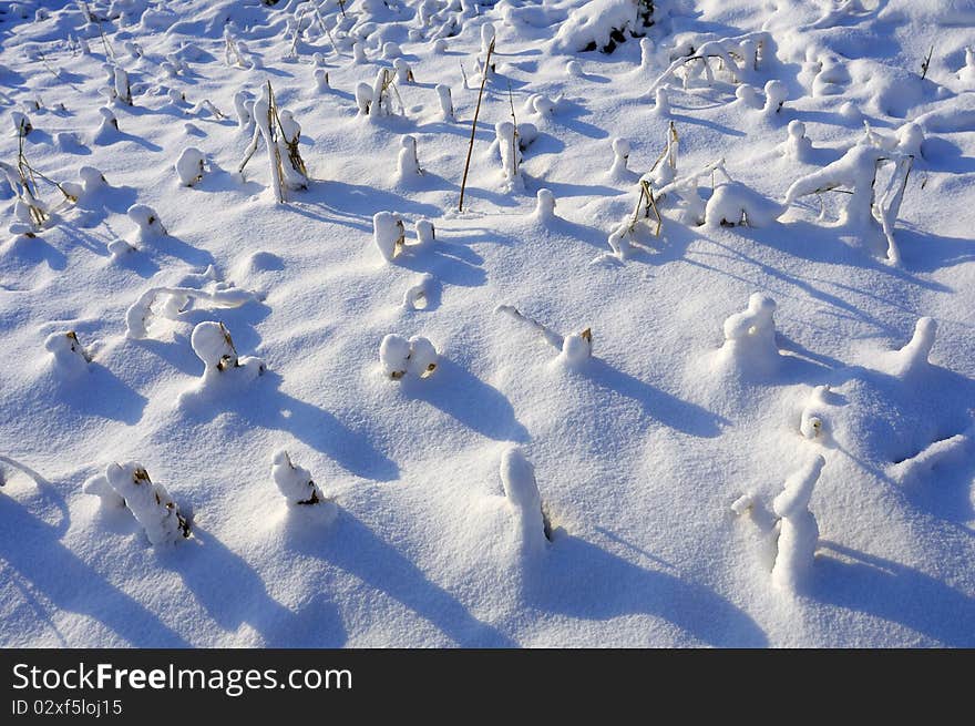 Cold winter, snow covered the land