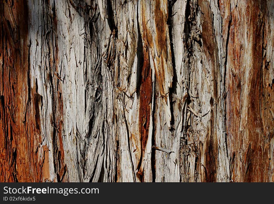 Detail of brown coniferous bark - natural texture. Detail of brown coniferous bark - natural texture