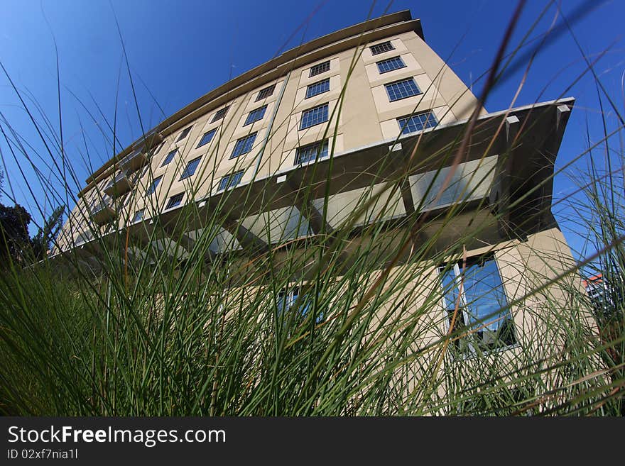 Modern block of flats behind stalks of grass. Modern block of flats behind stalks of grass