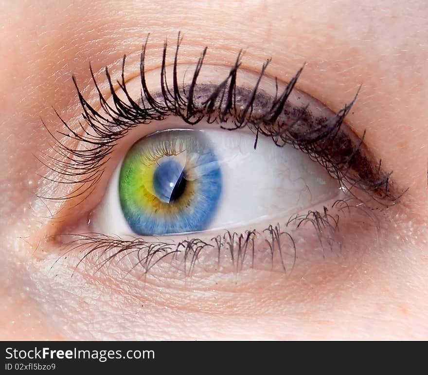 Colourful human eye of the woman. Colourful human eye of the woman