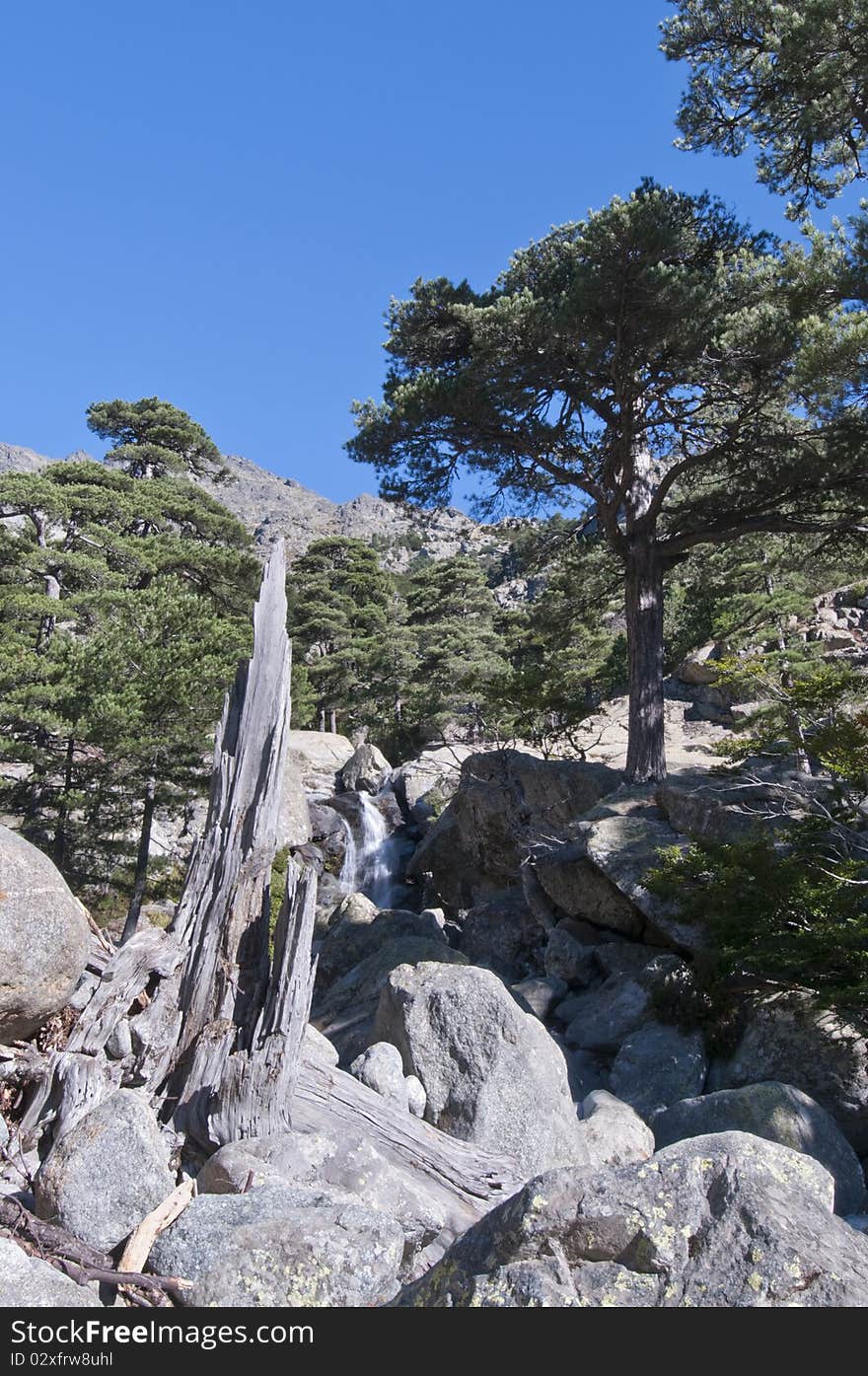 Nature around famous hiking path GR20 at Corsica.