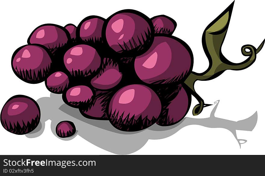 An hand-made black grapes illustration.