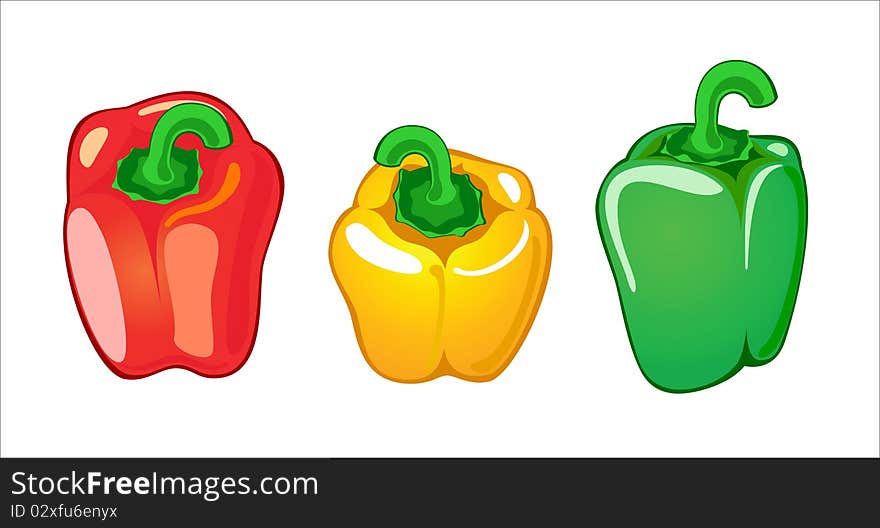 Three paprica in different color vector illustration