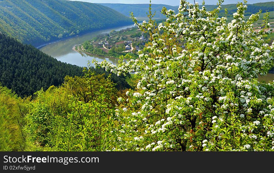 Landscape of the mountain river in a spring sunny day.