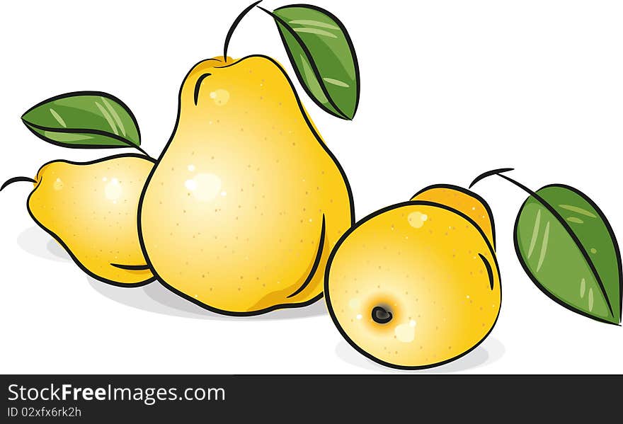 Yellow pears isolated on white, illustration